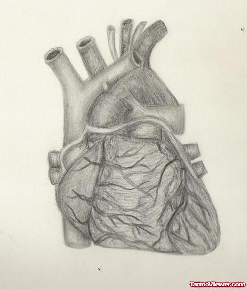 Grey Ink Human Heart Tattoo Design