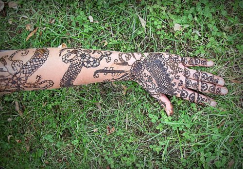 Henna Tattoo On Left Sleeve And Hand