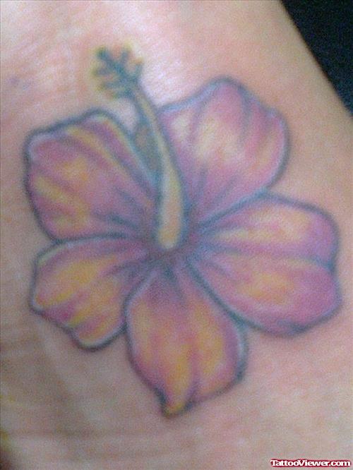 Hibiscus Flower Color Ink Tattoo By The Rock Tattoo Studio