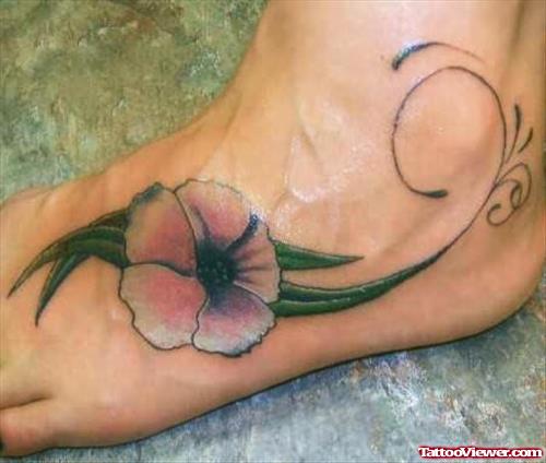 Neat Hibiscus Flower On Foot