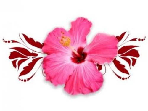 Hibiscus Flower Tattoo Design For Women