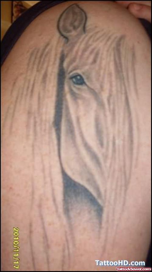 Horse Eye Tattoo On Shoulder