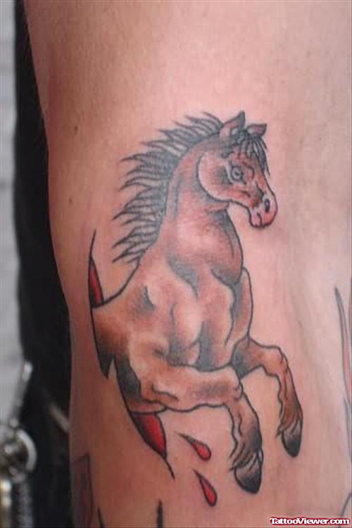 Baby Horse Tattoo