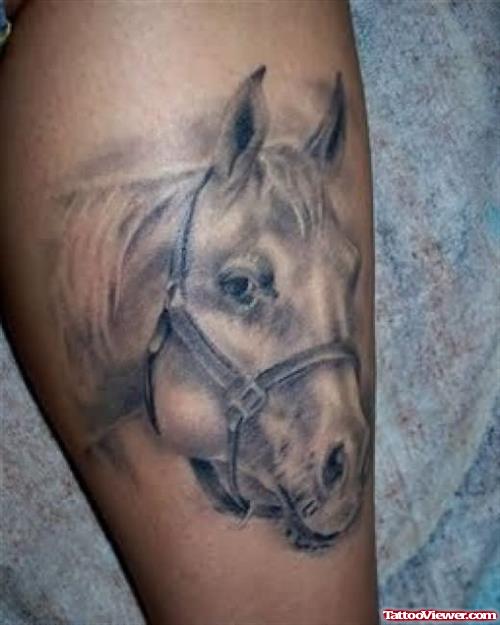 Tattoo Portrait of Favorite Horse