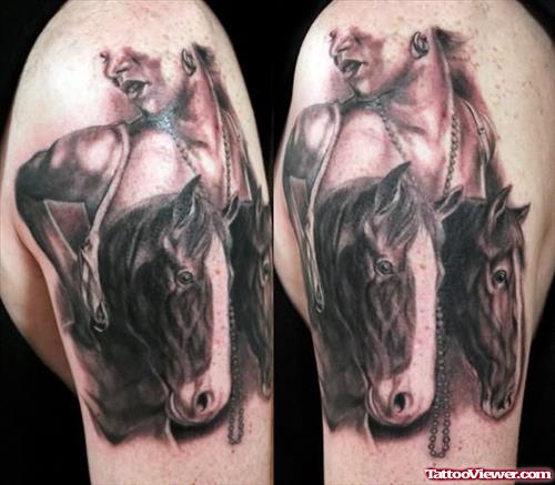 Horse Head  Tattoos On Bicep