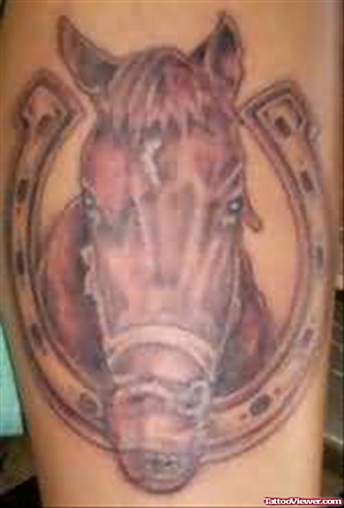 Horseshoe And Horse Head Tattoo