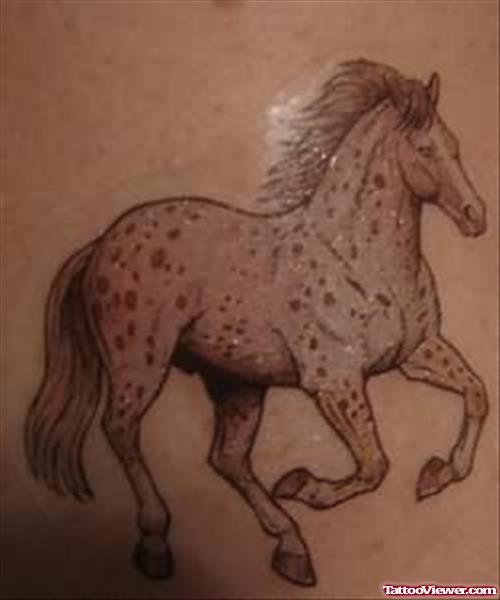 Horse Tattoo Design For Body