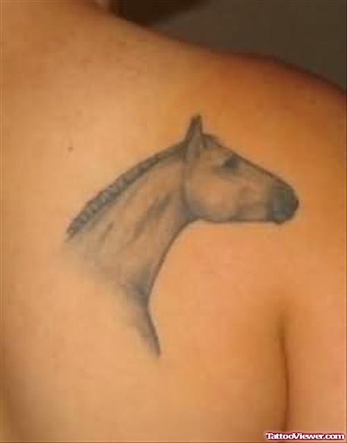 Elegant Horse Tattoo On Back Shoulder