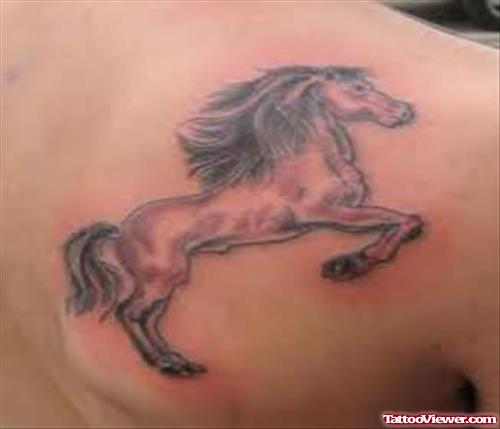 Horse Tattoos On Upper Shoulder