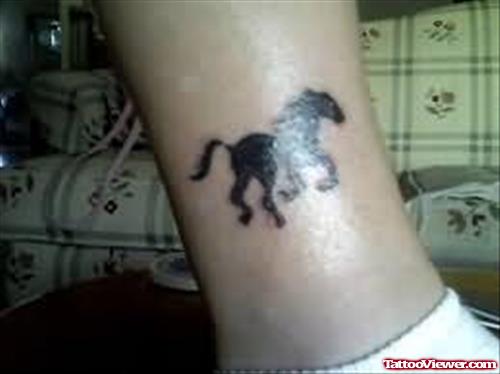 Horse Tattoos For Leg