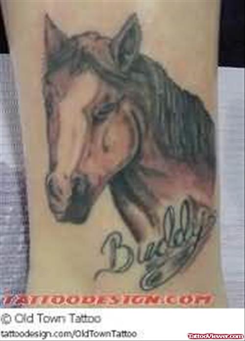 Horse Head Tattoo Design