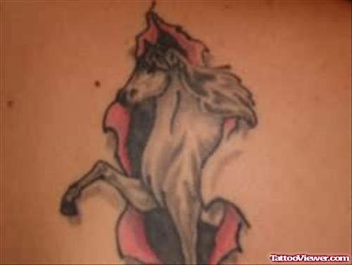 Horse Body Tattoos