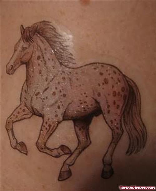New Style For Horse Tattoo