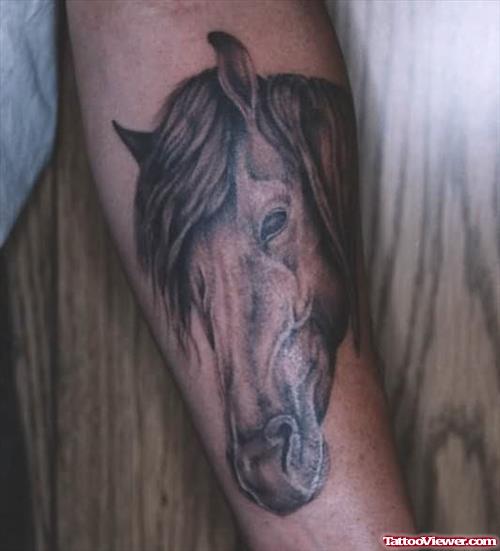 Horse Tattoo On Arm