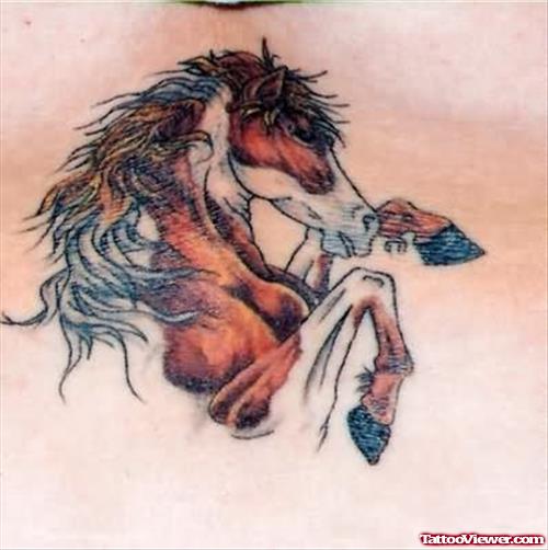 Beautiful Horse Tattoos Pictures