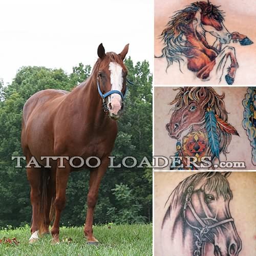 Horse Tattoos Collections