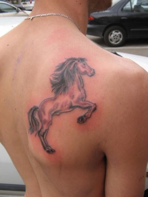 Beautiful Right Back Shoulder Horse Tattoo