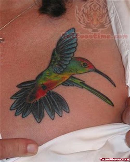 Hummingbird Color Ink Tattoos