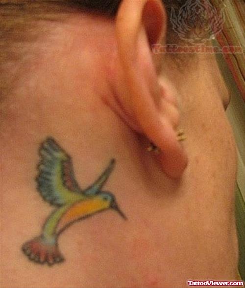 Hummingbird Tattoo Behind Ear