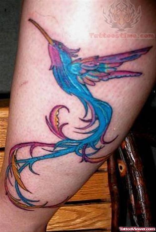 Hummingbird Color Tattoo