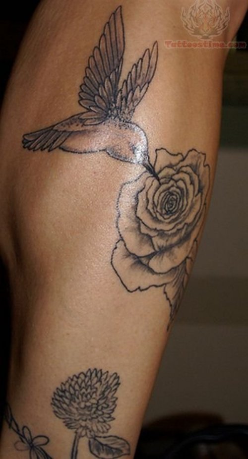 Hummingbird Rose Tattoo
