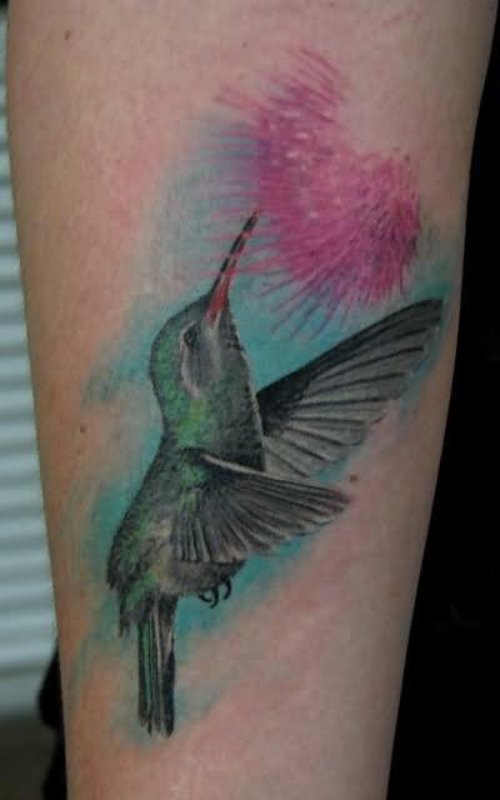 Color Ink Hummingbird Tattoo On Arm Sleeve