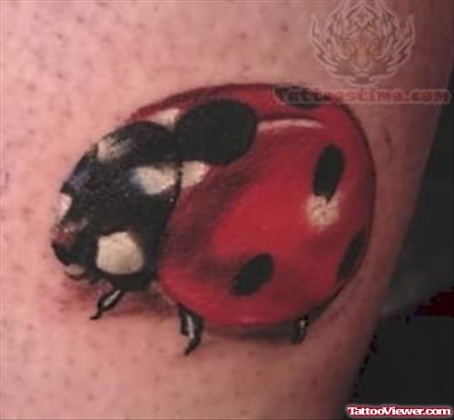 Red Bug Tattoo
