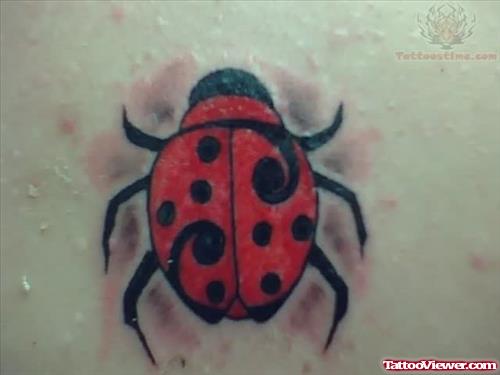 Elegant Ladybug Insect Tattoo