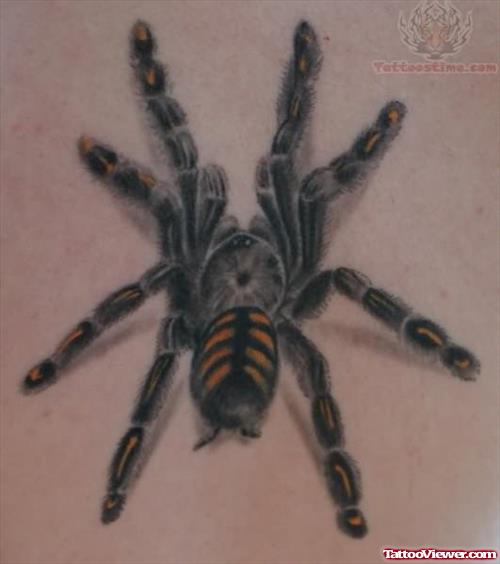 Great Tarantula Tattoo Design