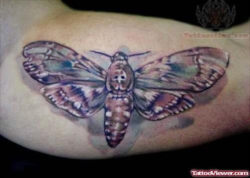 Insect Tattoo On Muscles