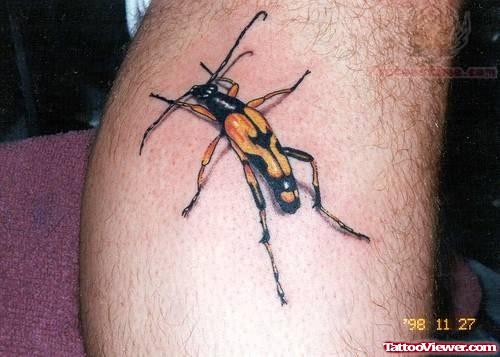 Tattoo Design Collection  Insect Tattoos