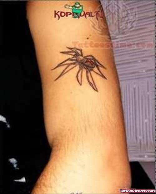 Spider - Insect Tattoo On Muscles
