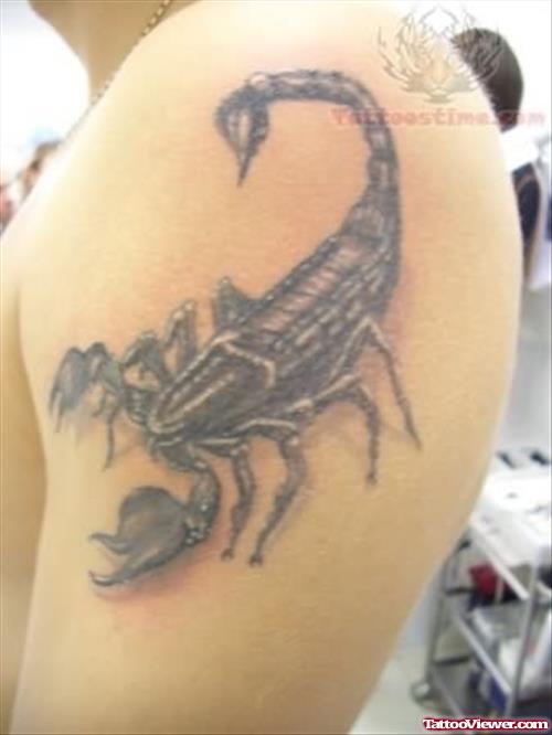 Insect Scorpio Tattoo