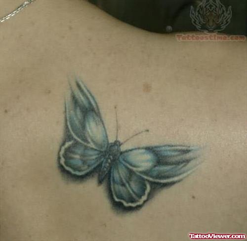 Butterfly Insect Tattoo