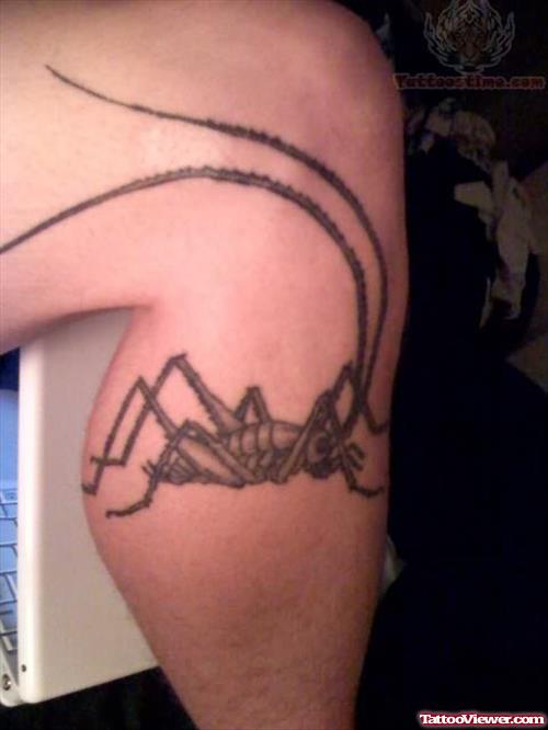 Grasshopper Tattoo On Leg