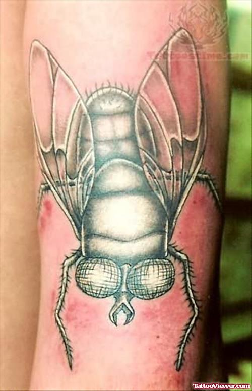 Small Bug Tattoo