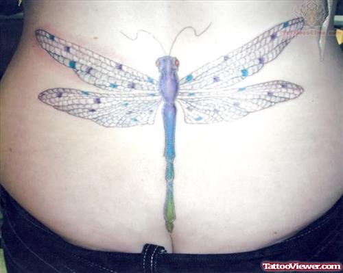 Big Dragonfly Tattoo