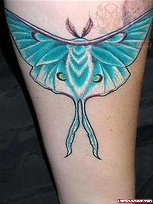 Attractive Butterfly Tattoo On Leg