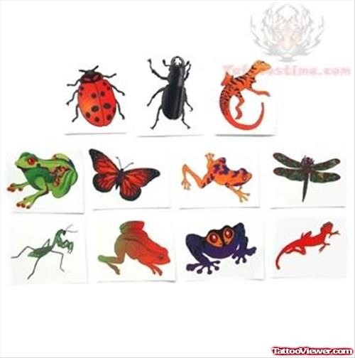Insect & Frog Tattoos - Super Temporary Tattoos