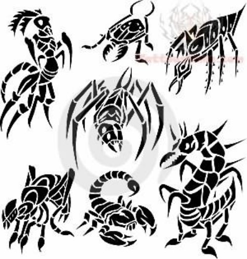 Insect Tattoo Designs Collection