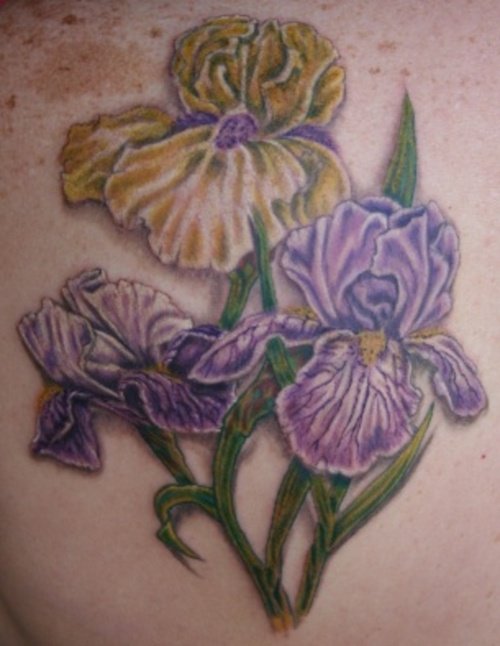 Colored Iris Tattoo On Back Body