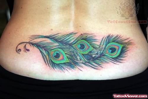 Feather Tattoo Designs On Back