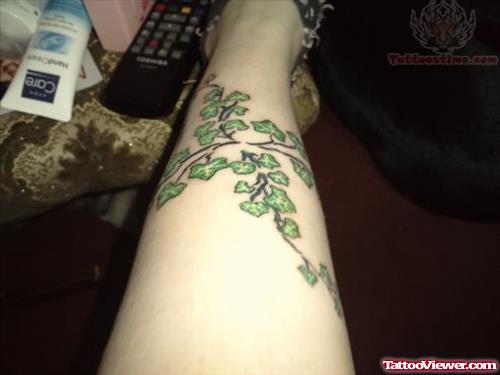 Ivy Green Ink Tattoo