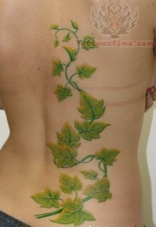 Ivy Green Leafs Tattoo