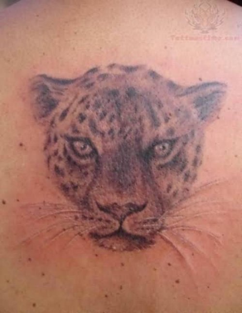 Jaguar Cub Head Tattoo