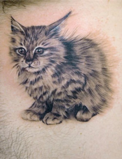 Grey Ink Cat Tattoo On Back