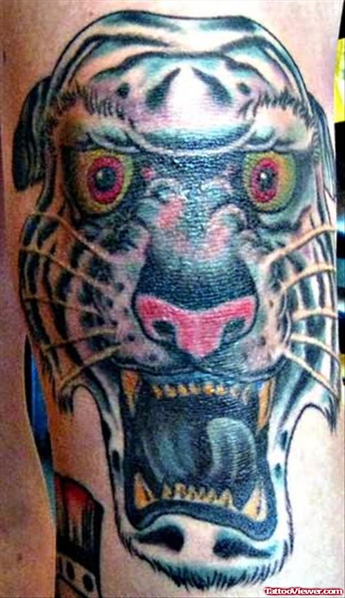 Black Tiger Tattoo On Knee