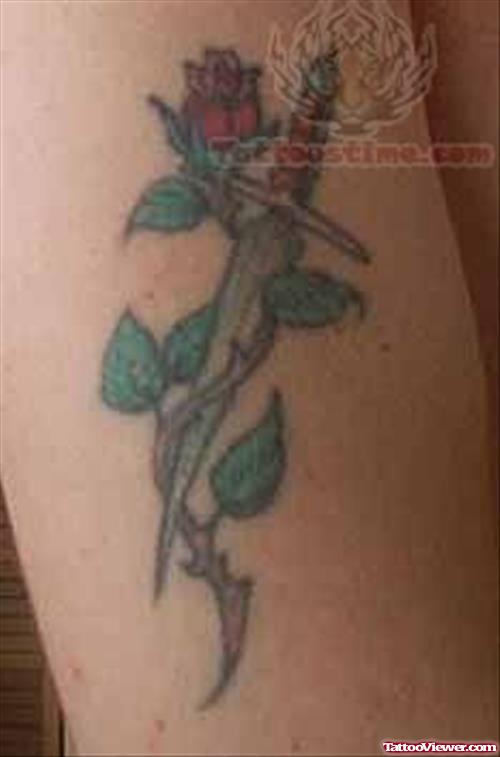 Rose And Knife Tattoo