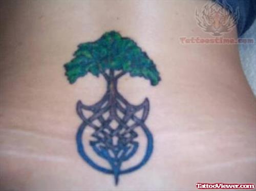 Knot And Tree Tattoo