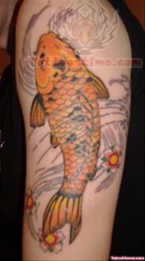 Color Koi Fish Tattoo on Sleeve